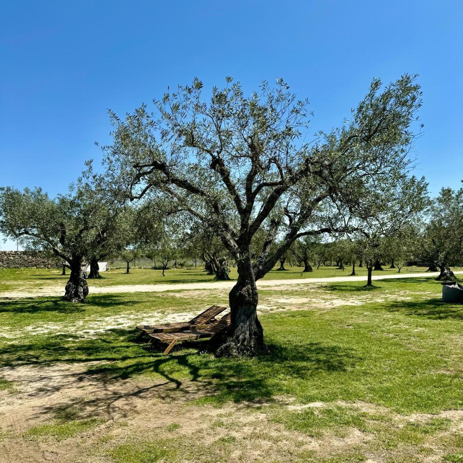 Quinta Do Nobre Villa Marialva Eksteriør bilde