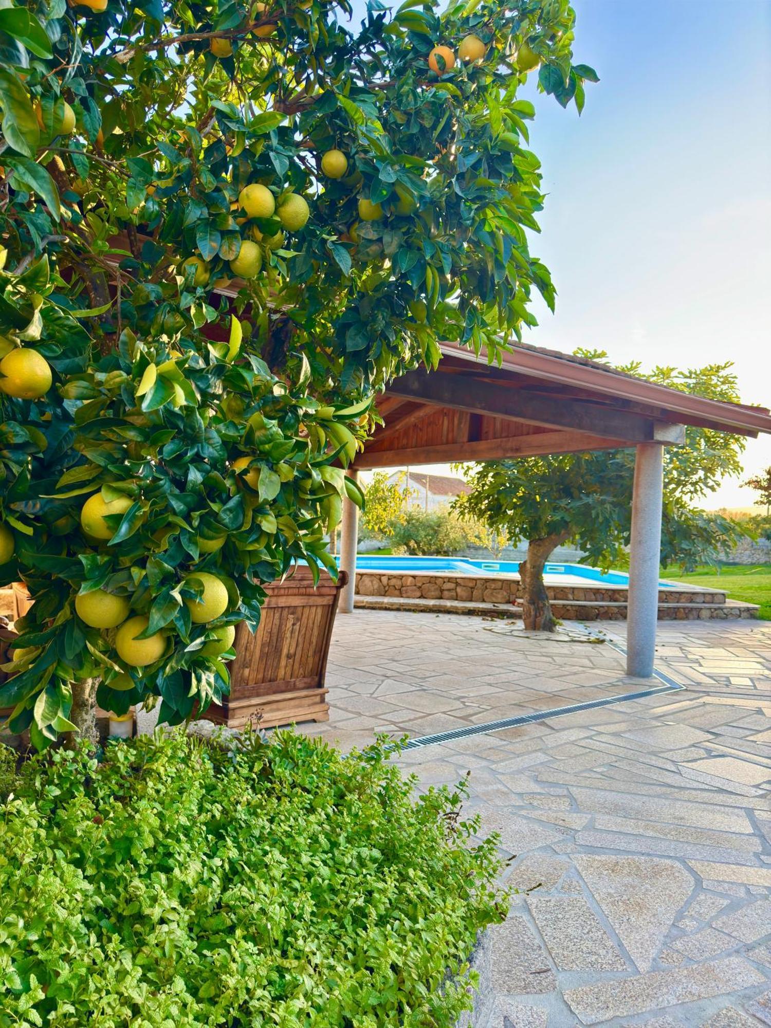 Quinta Do Nobre Villa Marialva Eksteriør bilde